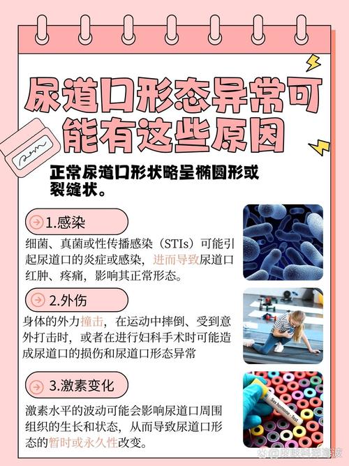 人妻少妇精品天天的相关介绍
