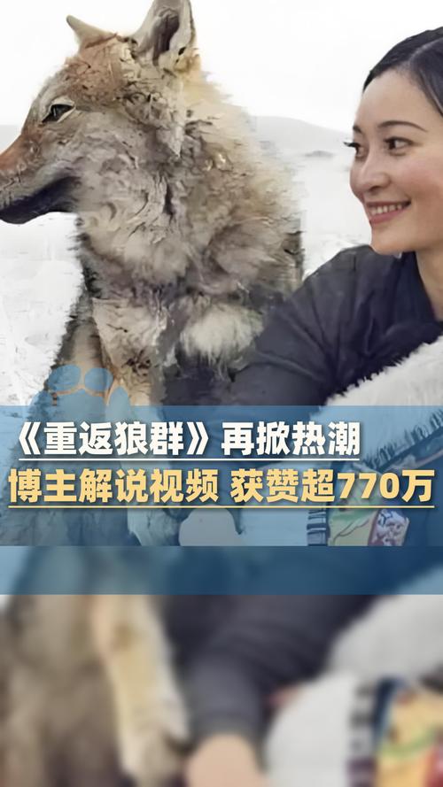 天机影院神马在线观看免费版，最新热门影视资源高清流畅播放