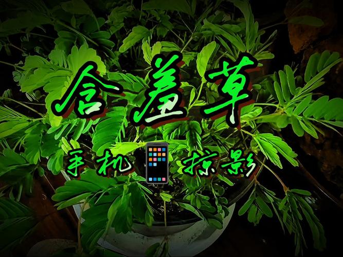 亚洲男人av天堂精品少妇的相关介绍