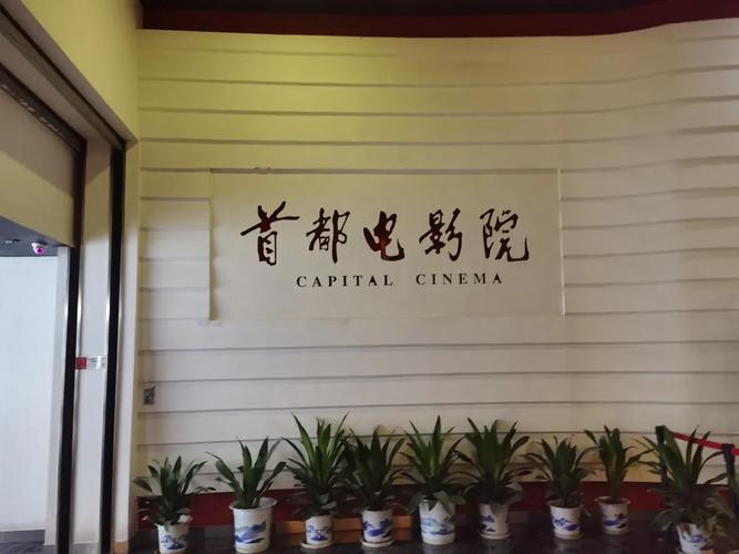 6090青苹果影院手机电影在线观看 - 高清免费追剧 最新热播大片 无广告极速播放