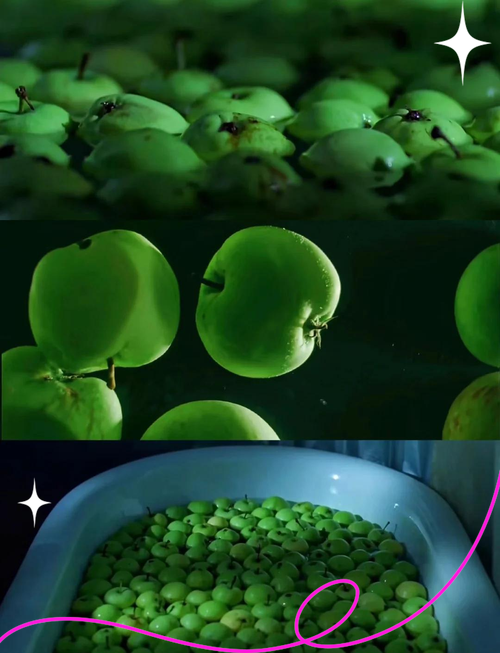 光棍电影院1l11在线观看 | 最新免费电影资源、高清影视推荐、无广告播放平台
