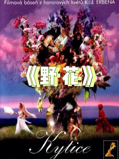 根据您的需求，为您生成的SEO标题如下：

**哆来咪影院在线播放 - 免费高清电影网站推荐，全网热播剧无广告畅享**