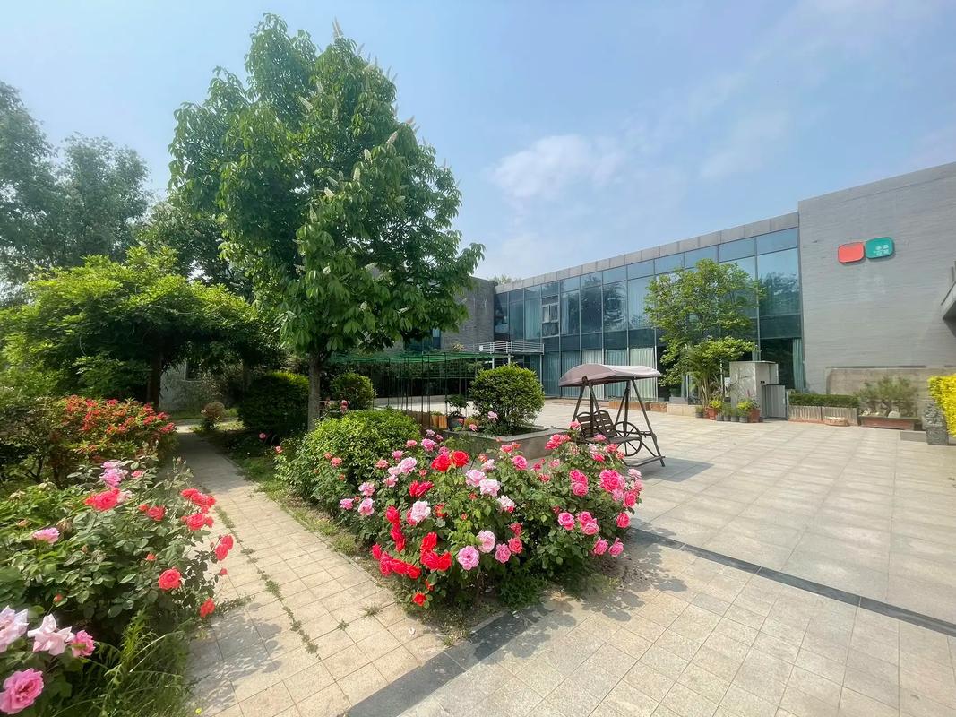 小清新电影院 | 独立文艺片单推荐、小众影院打卡指南、周末治愈系观影计划