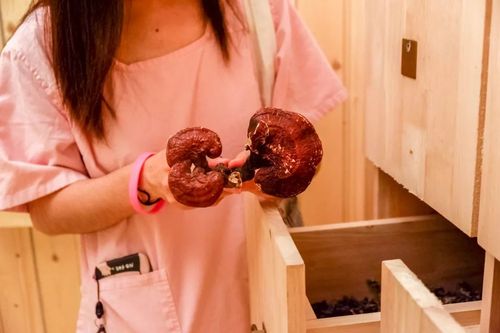 策驰影院官网 - 最新热播电影免费在线观看，高清无广告追剧首选平台