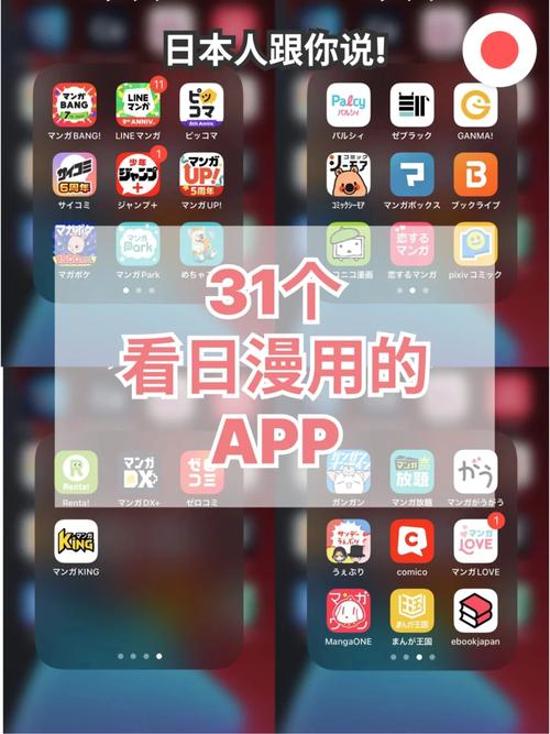 酷都电影院的相关介绍
