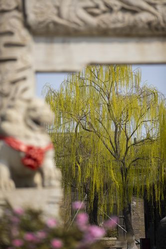 按摩伦理片：揭示人性边界的感官叙事与道德思辨