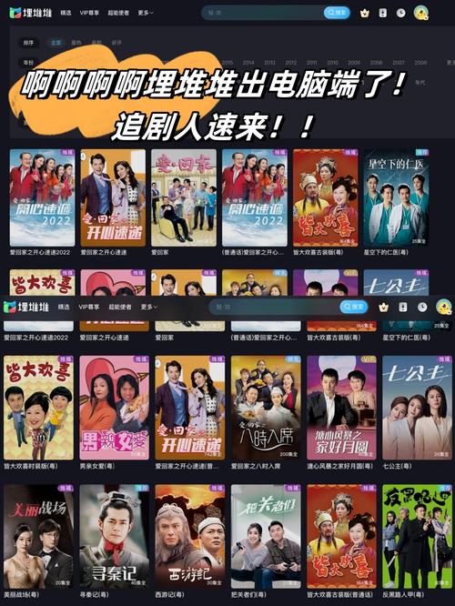 未来影院：沉浸式VR观影体验与私人定制包场服务指南