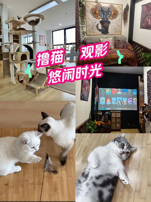 11k影院最新影视资源在线观看 - 11k影院高清免费追剧平台