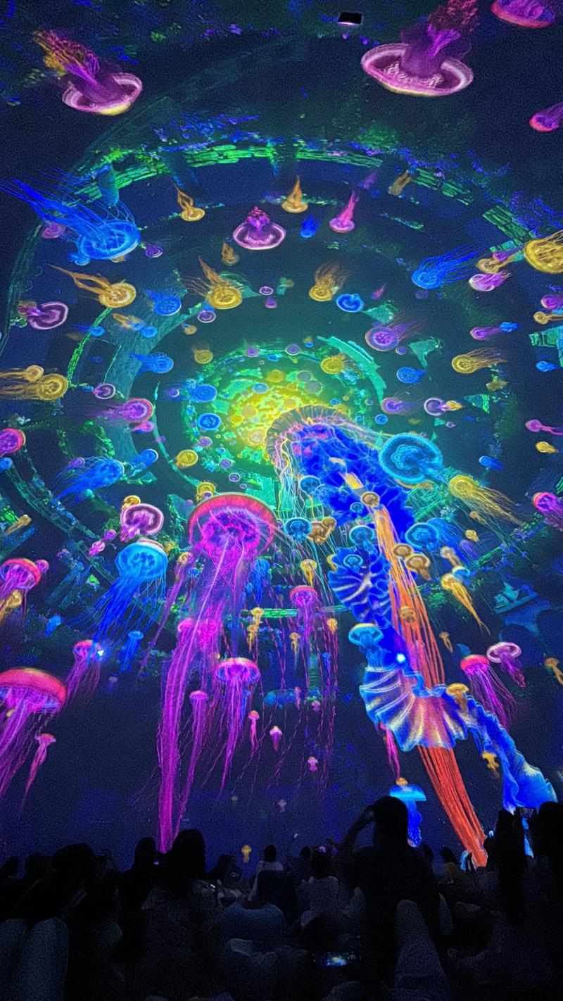 夏同学影院 - 在线免费追剧神器，最新热门电影电视剧高清无广告观看指南