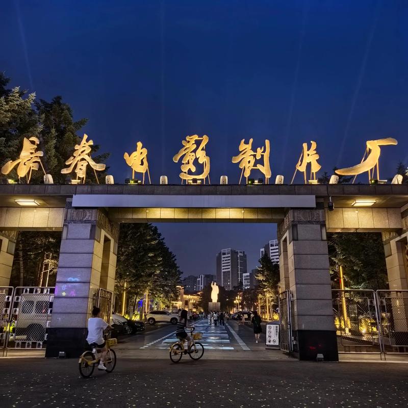 午夜人妻啪啪av的相关介绍