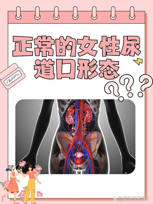 亚洲av黑丝在线的相关介绍